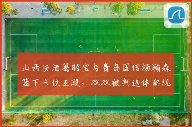 山西汾酒葛昭宝与青岛国信杨瀚森篮下卡位互殴，双双被判违体犯规